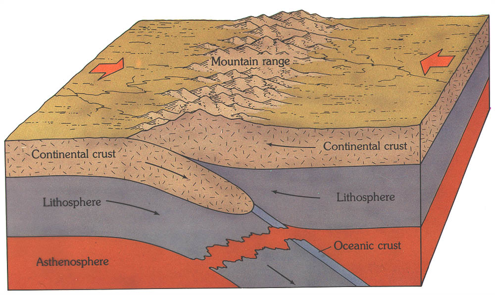 folded mountain diagram